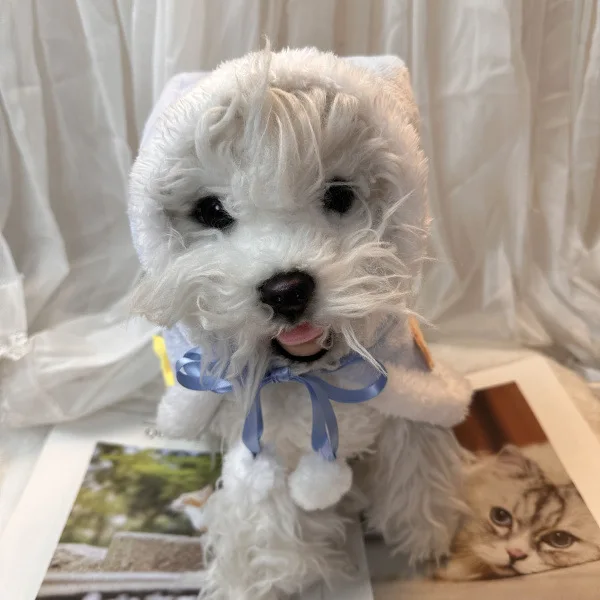 Sombrero de fiesta para mascotas, capa de felpa, manta, sombreros para mascotas, ropa para perros y gatos, abrigo de oso de estrella lindo, vestido de diseñador, ropa para perros pequeños - imagen 3
