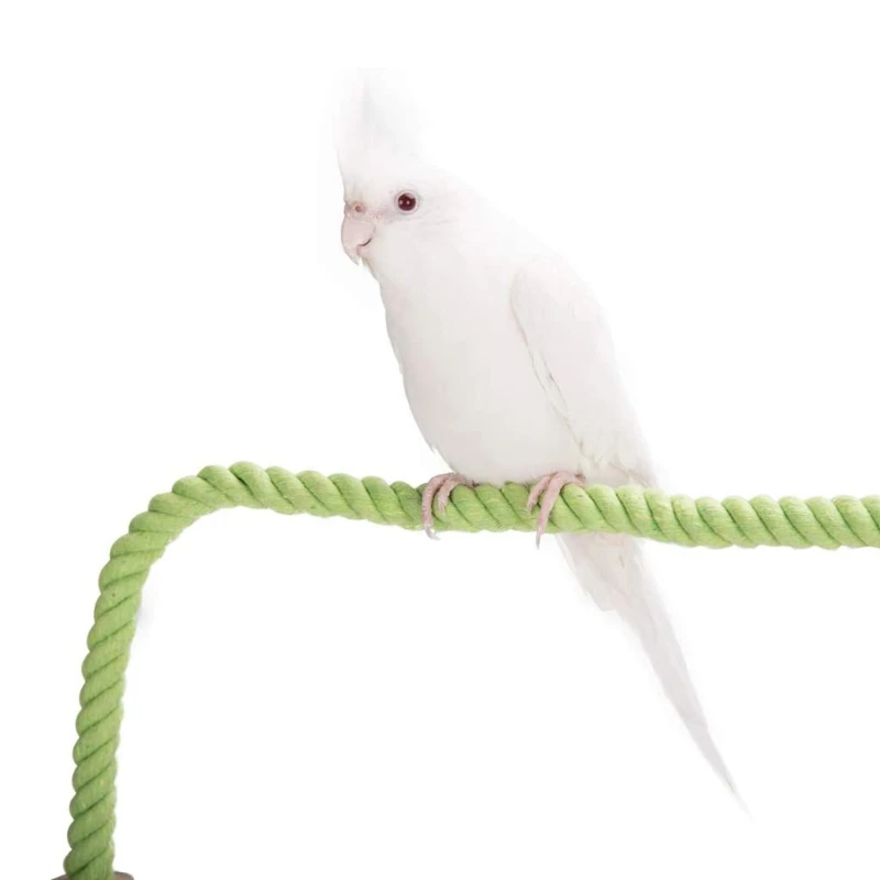Juguete para morder pájaros, loro de pie, cuerda tejida, juguete para masticar pájaros, perchas de pie flexibles para loros y mascotas para periquito - imagen 4