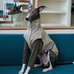 Chaleco impermeable para perros medianos - galgo italiano y Whippet