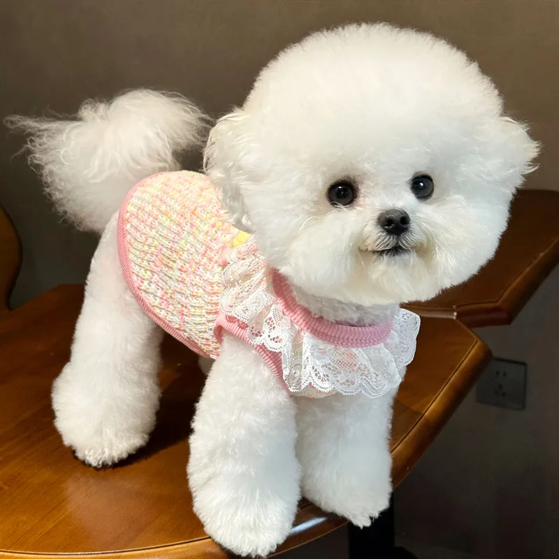 Chaleco tejido para mascotas de otoño, chaqueta con cuello de encaje y flores para perros, suéter de Yorkshire para perros pequeños y gatos, ropa para cachorros pequeños - imagen 3