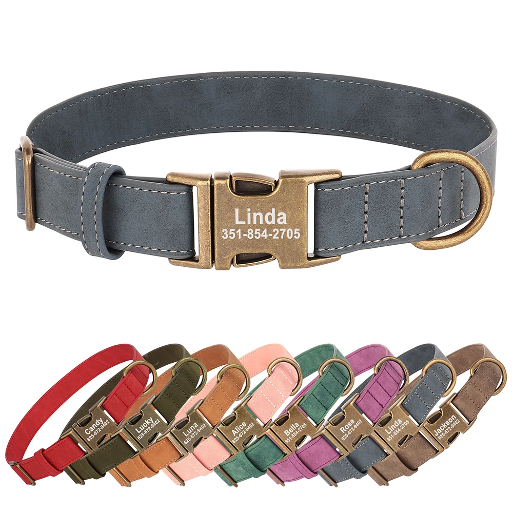 Collar identificación Bulldog - Grabado gratuito y antipérdida