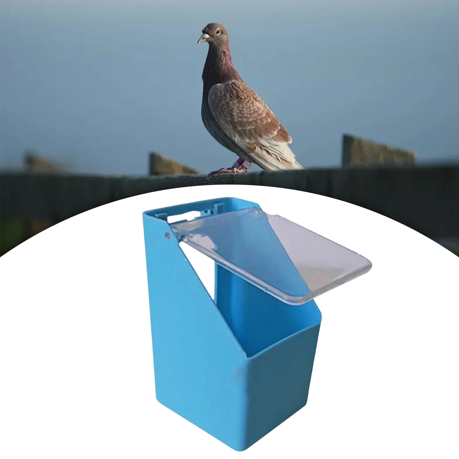 Comedero creativo para comida de pájaros, caja colgante para comedero de palomas con cubierta, contenedor de agua para loros y palomas, suministros de alimentación para pájaros - imagen 3