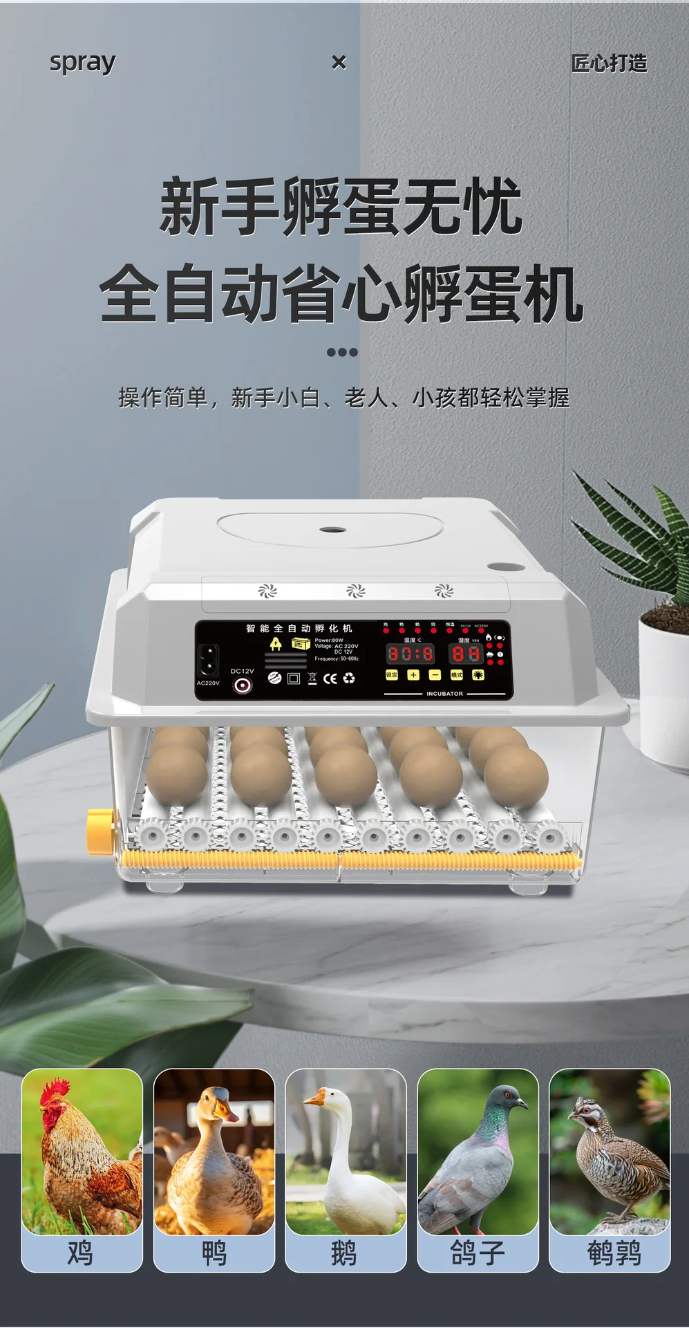 Incubadora en encimera de cocina