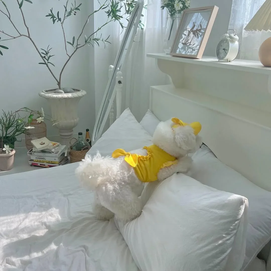 Moda para mascotas, camiseta sin mangas hueca de amor de verano, sombrero parasol, conjunto de ropa para gatos/perros de tamaño pequeño y mediano, camiseta sin mangas, sombrero, ropa para cachorros - imagen 3