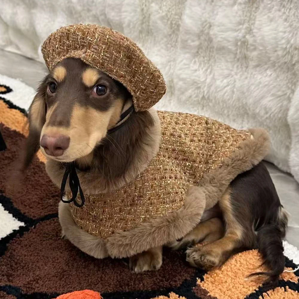 Conjunto de ropa con abrigo de piel para perros pequeños y tipo salchicha - imagen 3