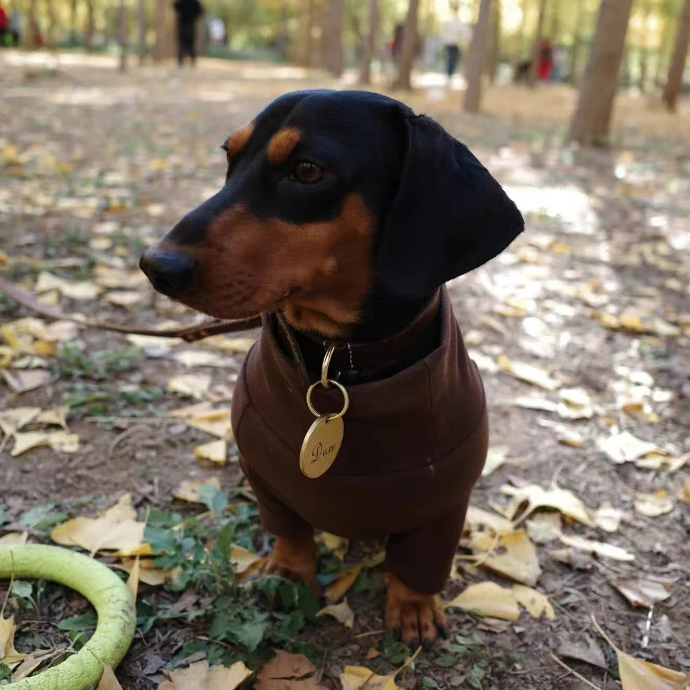 Mono polar cálido para perros pequeños dachshund – abrigo invierno - imagen 5