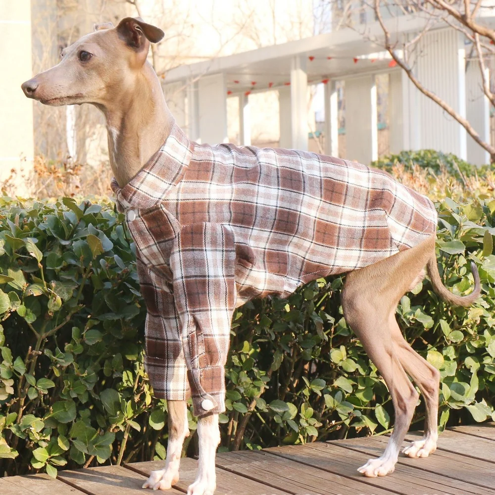 Abrigo de primavera de manga larga de algodón verde para perros medianos, camisa a cuadros de café suave para chaqueta roja Whippet de galgo italiano en otoño