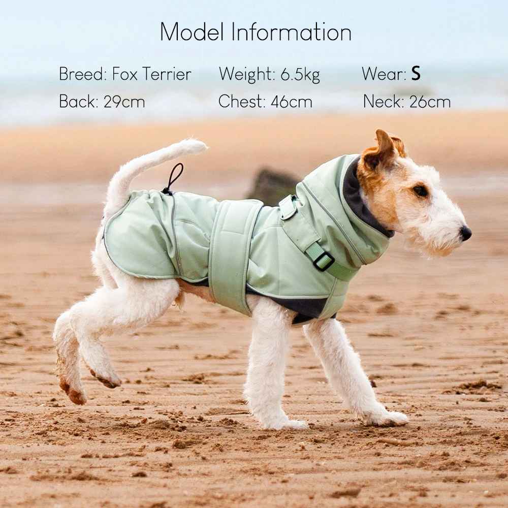Chaqueta cálida impermeable para perros pequeños y medianos - imagen 4