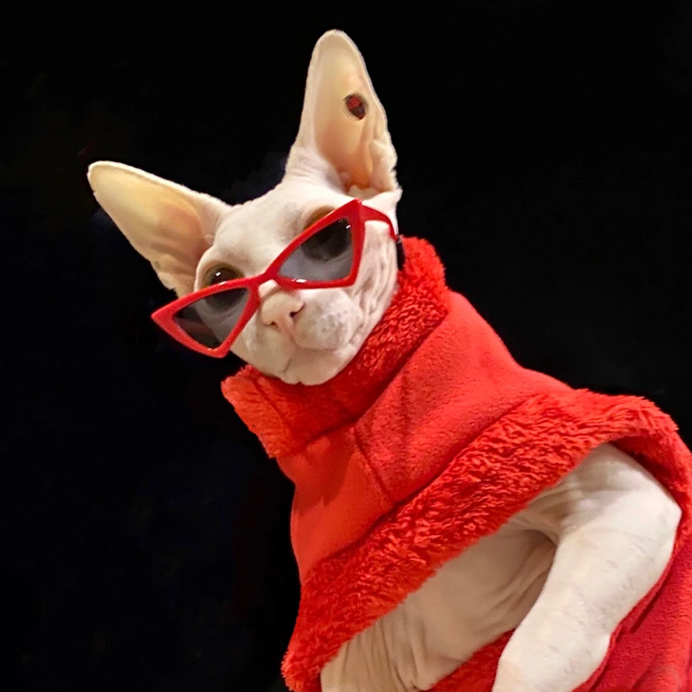 Personalizar gafas de sol Sphynx, accesorios para mascotas para gatos, cachorros, gatitos, gafas a prueba de viento, suministros para viajes al aire libre para mascotas - imagen 5