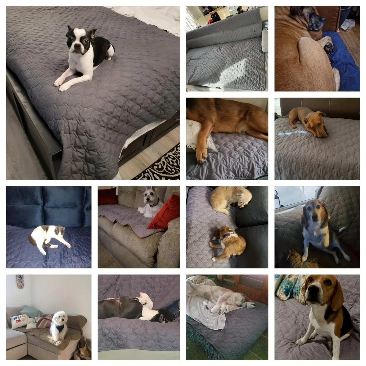 Funda impermeable de doble cara para cama de perro, manta para mascotas, sofá, Protector de muebles para perros