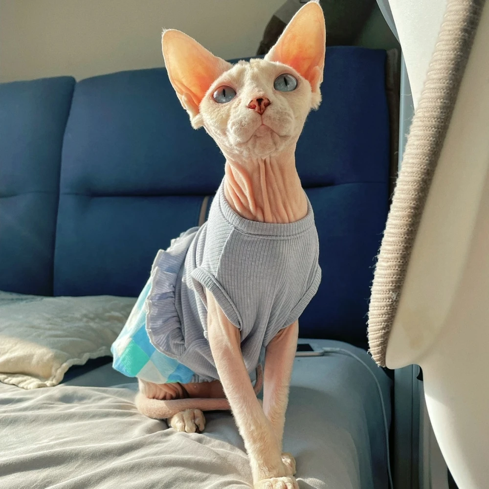 Vestido de algodón para un gato Falda de burbujas de encaje de verano para Sphynx Chaleco sin mangas suave de gato para gatitos Abrigo de cuadros dulces para Devon Rex - imagen 3