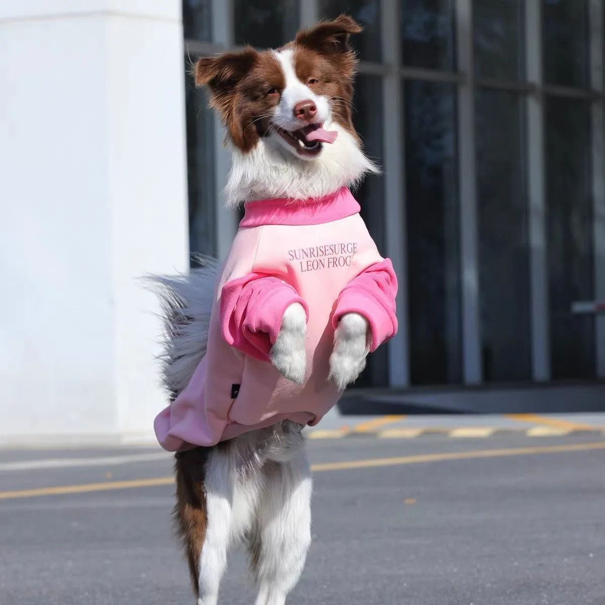 Abrigo invierno perros grandes forro polar – Rosa - imagen 3