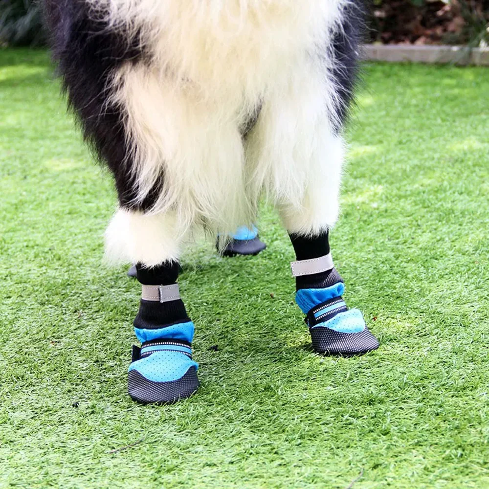 Botas transpirables malla verano perros medianos Pitbull Greyhound - imagen 5