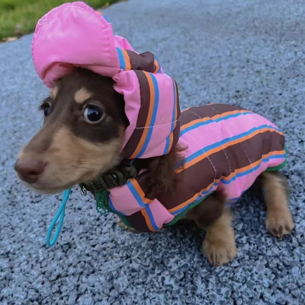 Chaqueta para perros salchicha con sombrero - abrigo calido ligero - imagen 2