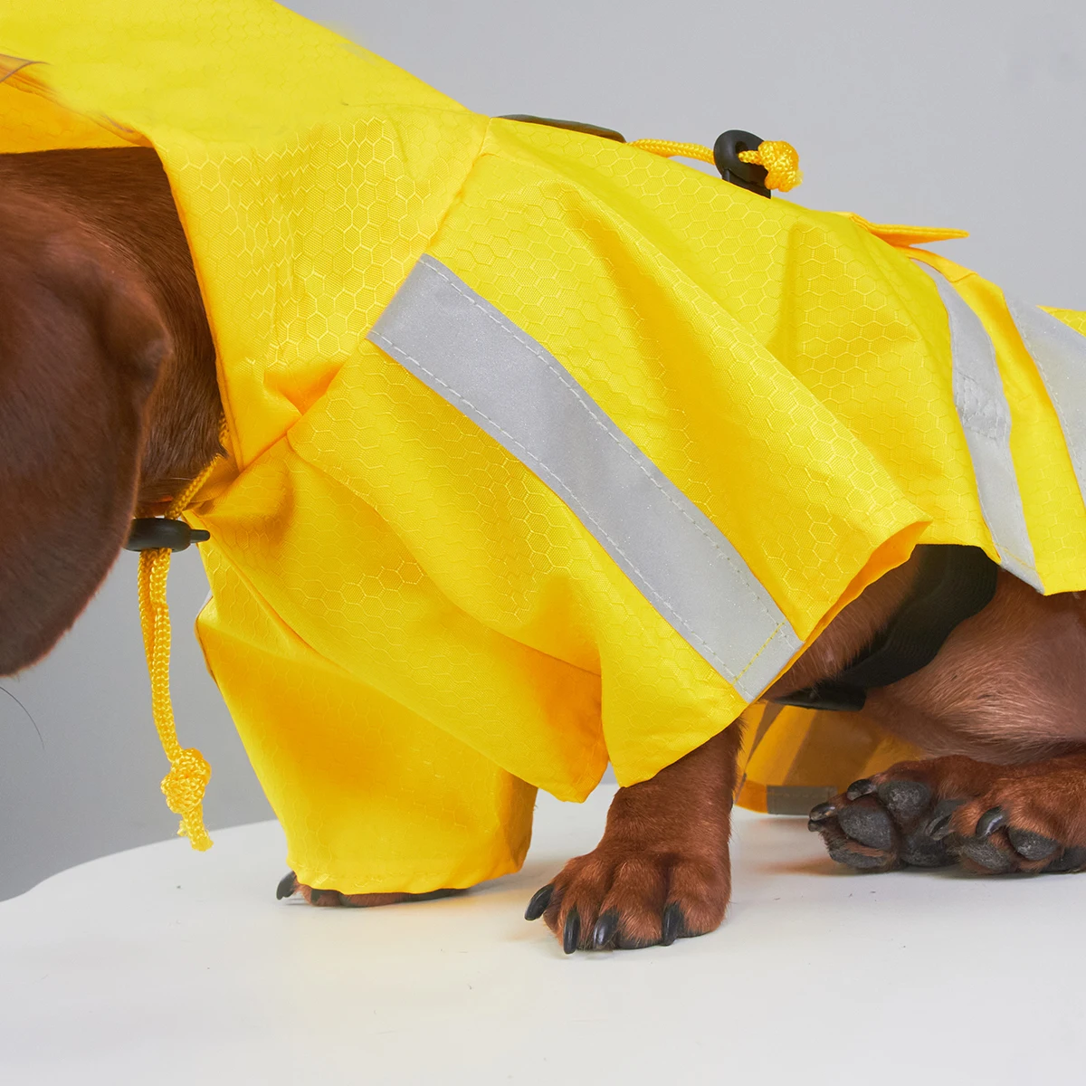 Chaqueta reflectante para perros salchicha, impermeable amarillo repelente al agua para perros Wiener, abrigo impermeable con capucha para perros salchicha - imagen 5