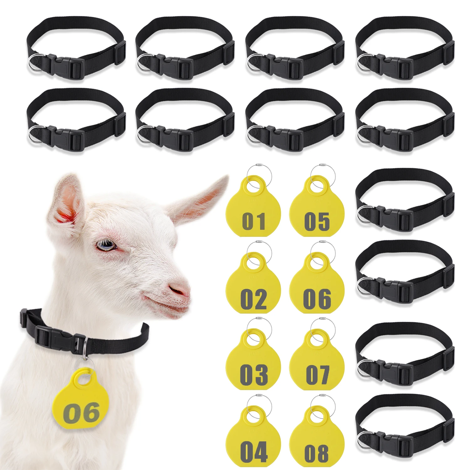 01-28 -Nylon Collar