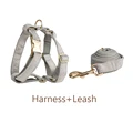 harness leash