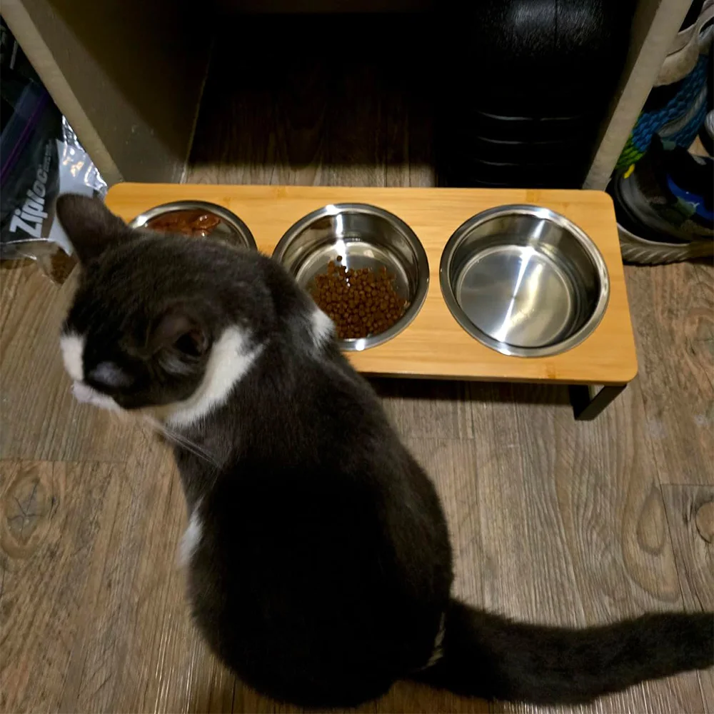 Comedero elevado antivoracidad para gatos – 3 tazones con soporte inclinado - imagen 2