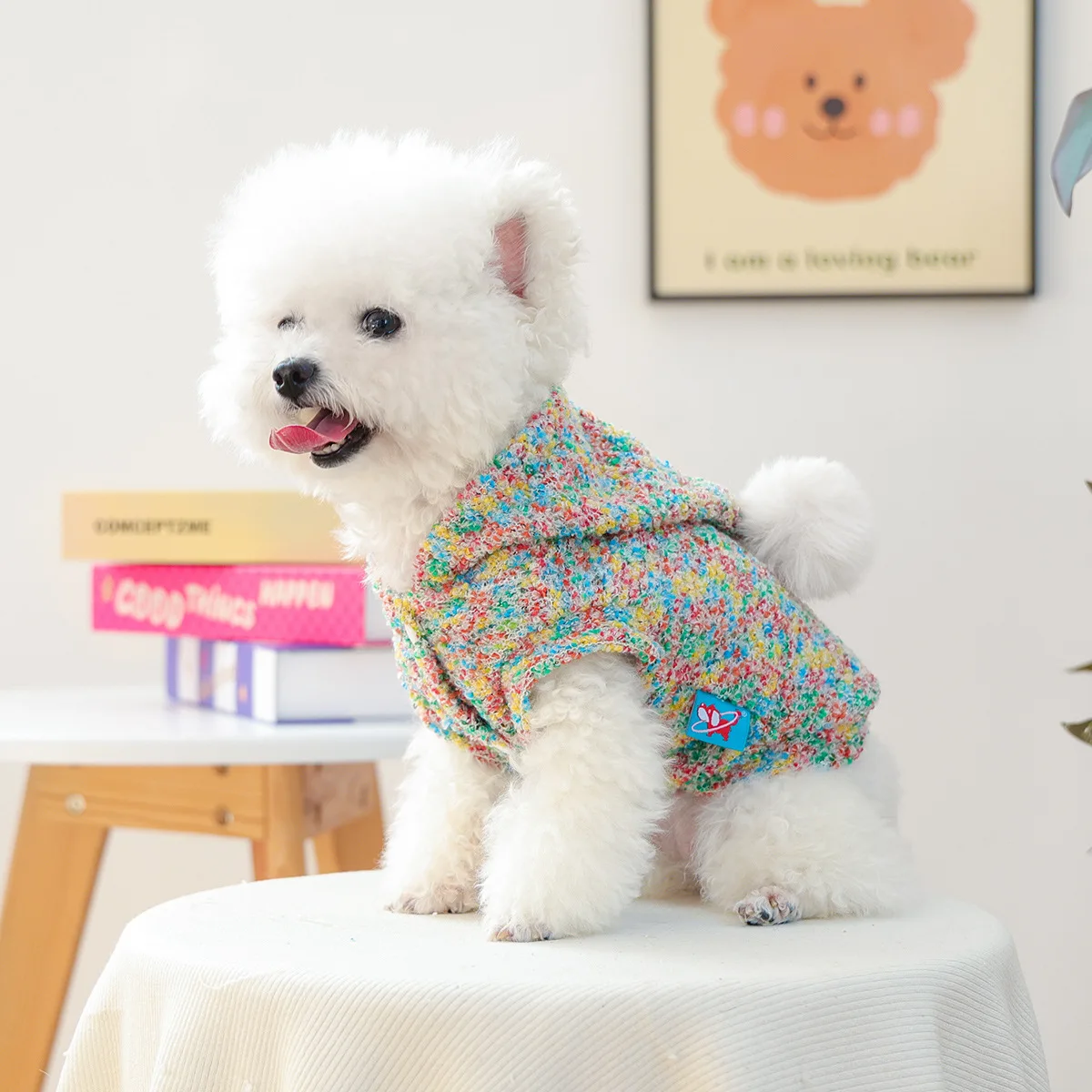 Cárdigan de punto para mascotas, Otoño/Invierno, bola de pelo para perros pequeños/gatos, cómoda Sudadera con capucha colorida, ropa para perros pequeños - imagen 2