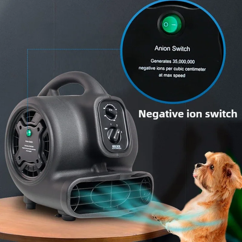 Negative ion version