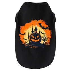 Disfraz Halloween para perro – Camisa con calabaza y murciélago