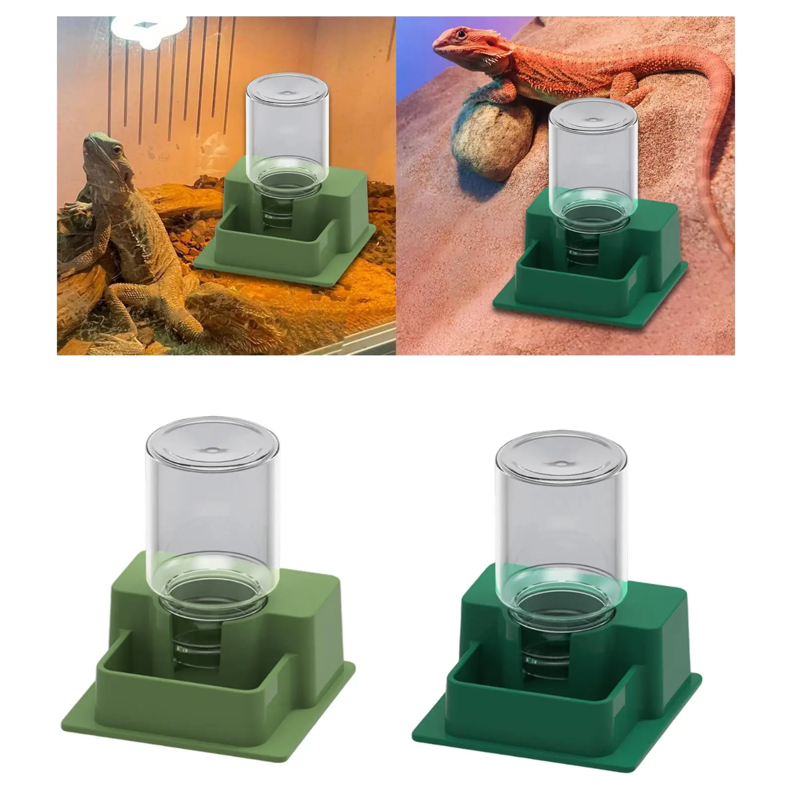 Bebedero automático reptiles: tortugas, gecos, ranas y camaleones - imagen 4