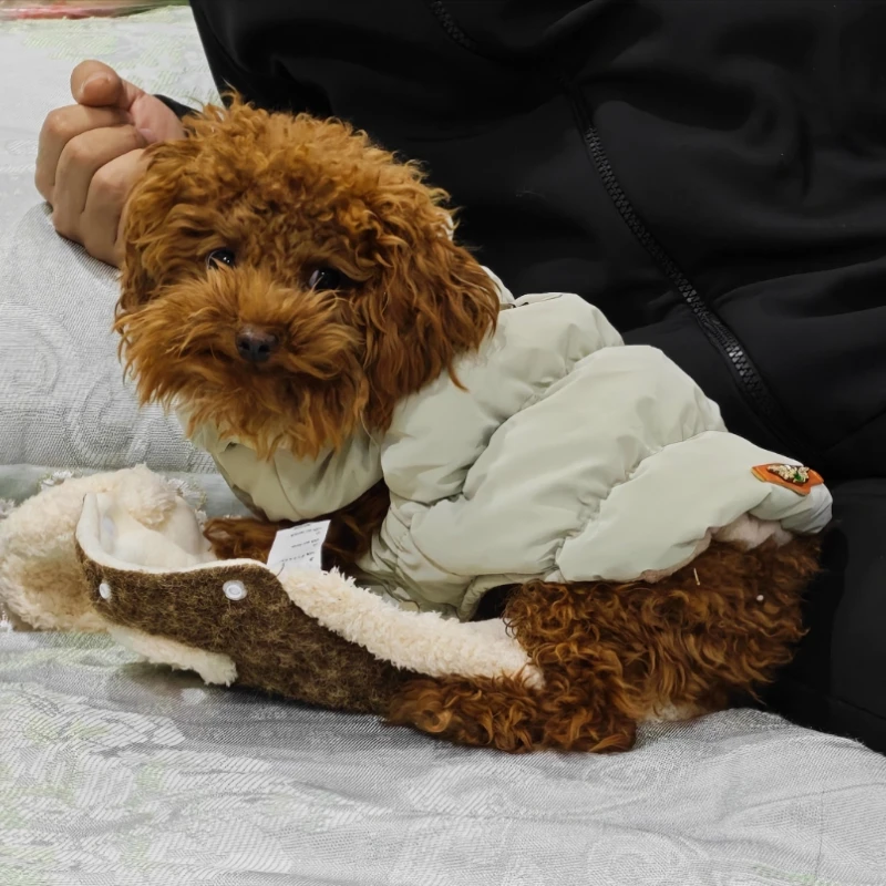 Chaqueta cálida de invierno para perros y gatos, abrigo acolchado de dos patas con correas cálidas para las piernas para mascotas, chaleco de lana suave para cachorros, traje de otoño e invierno - imagen 5