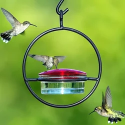 Alimentador colgante para colibrí con base metálica y percha