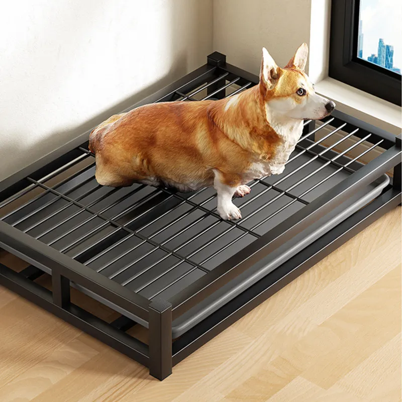 Inodoro de acero inoxidable para perros - vista principal