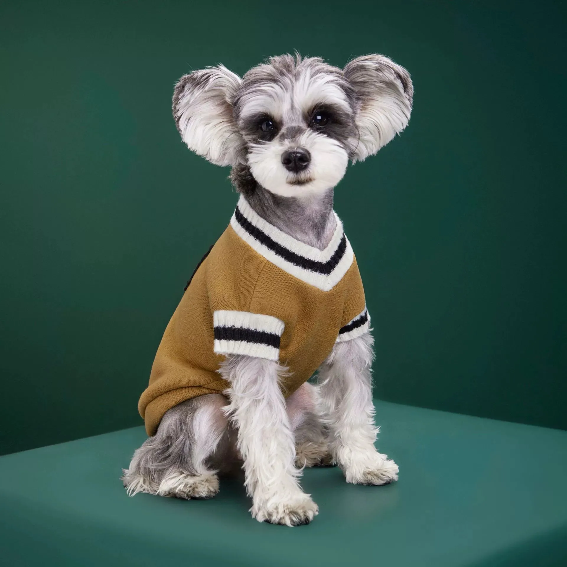 Ropa para perros Otoño Invierno chaleco cálido chaqueta para perros pequeños medianos gato mascota estilo universitario suéter Chihuahua Pug ropa para cachorros - imagen 5