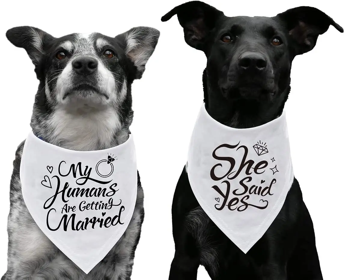 Bandana de perro My Humans are Getting Married, accesorio para fotos de boda, bufanda para mascotas, regalo de compromiso