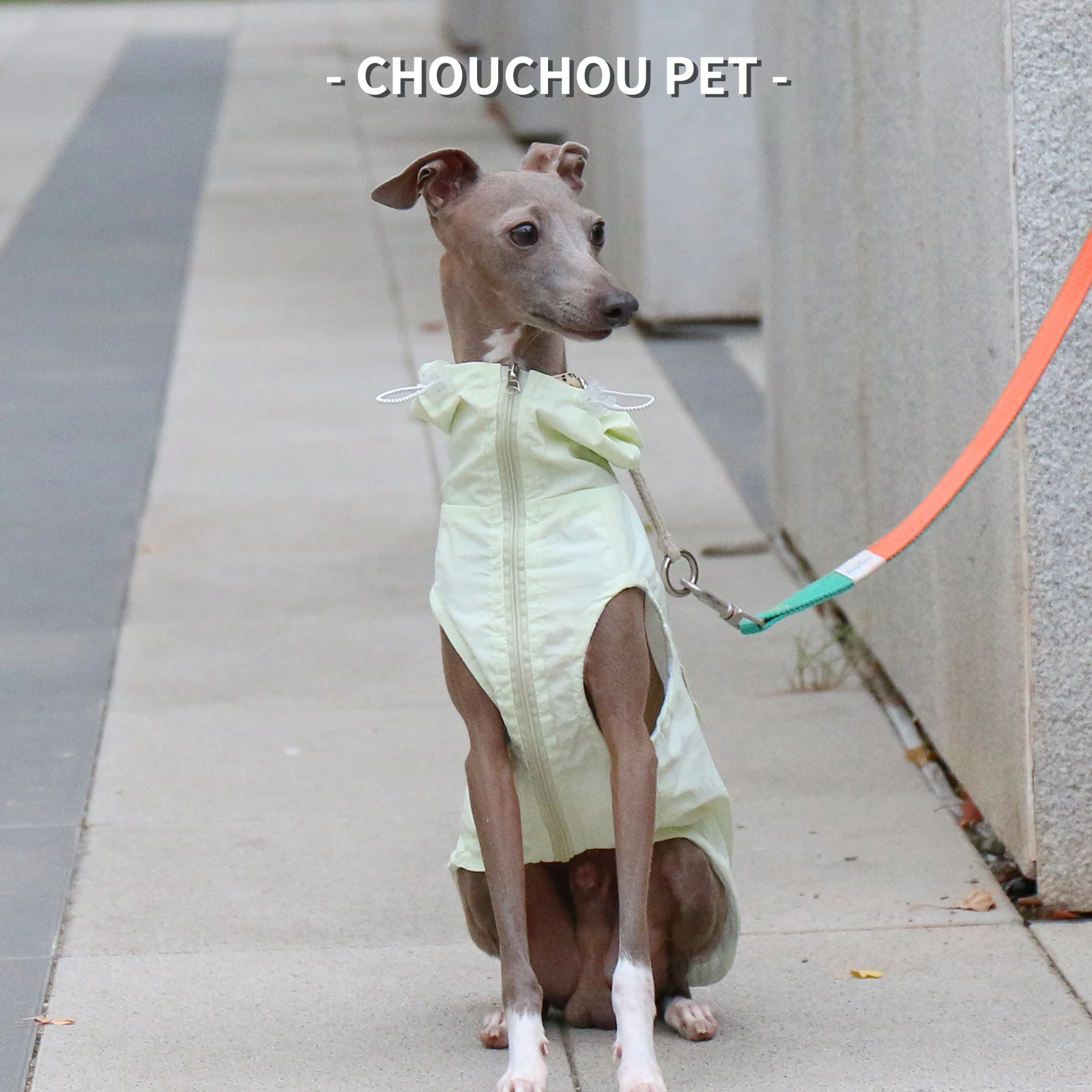 Otoño galgo Whippet Iggy chaleco con capucha para mascotas impermeable e impermeable ropa para perros con cremallera ajustable