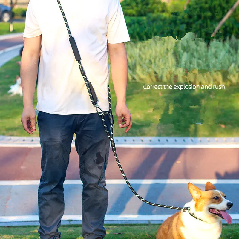 Correa reflectante con manos libres para perro, cuerda de tracción para caminar, caminar, correr, trotar, cadena para mascotas - imagen 3