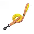 Blazing Yellow