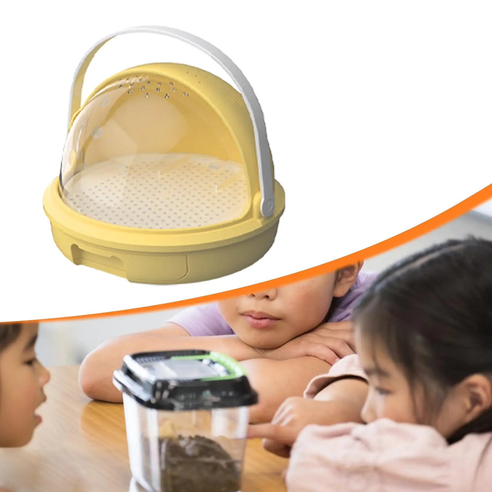 Silkworm Breeding Box Versatile Sturdy Boys Ventilated Holes Learning Feeding Box