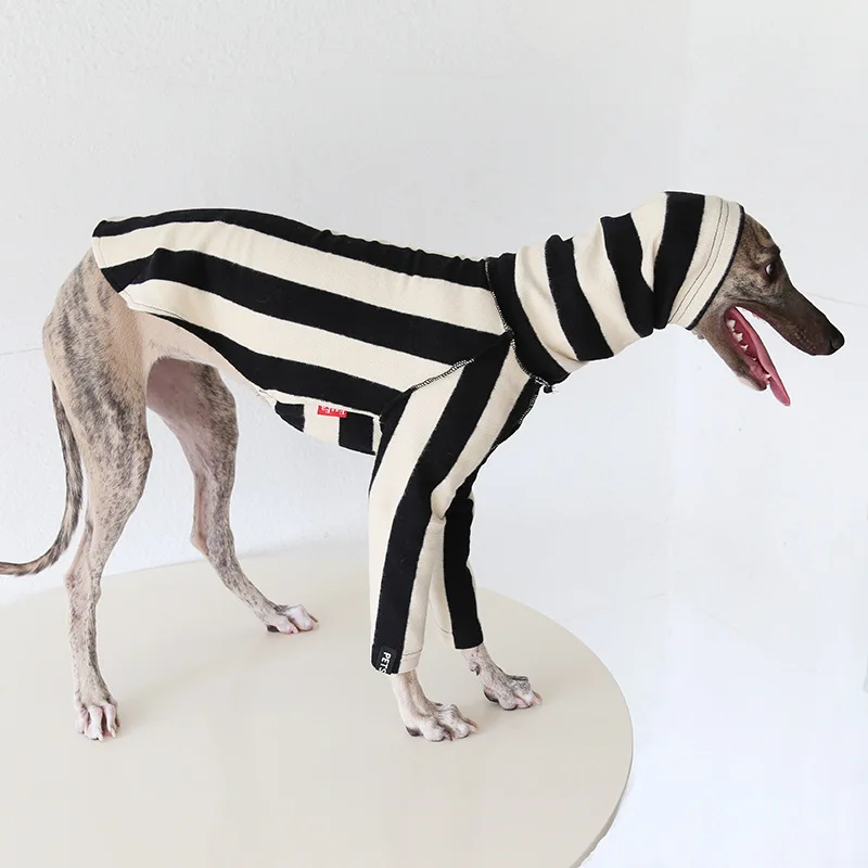 Ropa de otoño de estilo japonés para galgo italiano, suéter de lana suave de manga larga y cálida para ropa Whippet, ropa de descanso a rayas - imagen 3