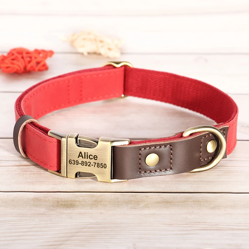 Collar personalizado para perros pequeños y medianos con placa nombre - imagen 3