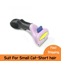 Cat S-short hair