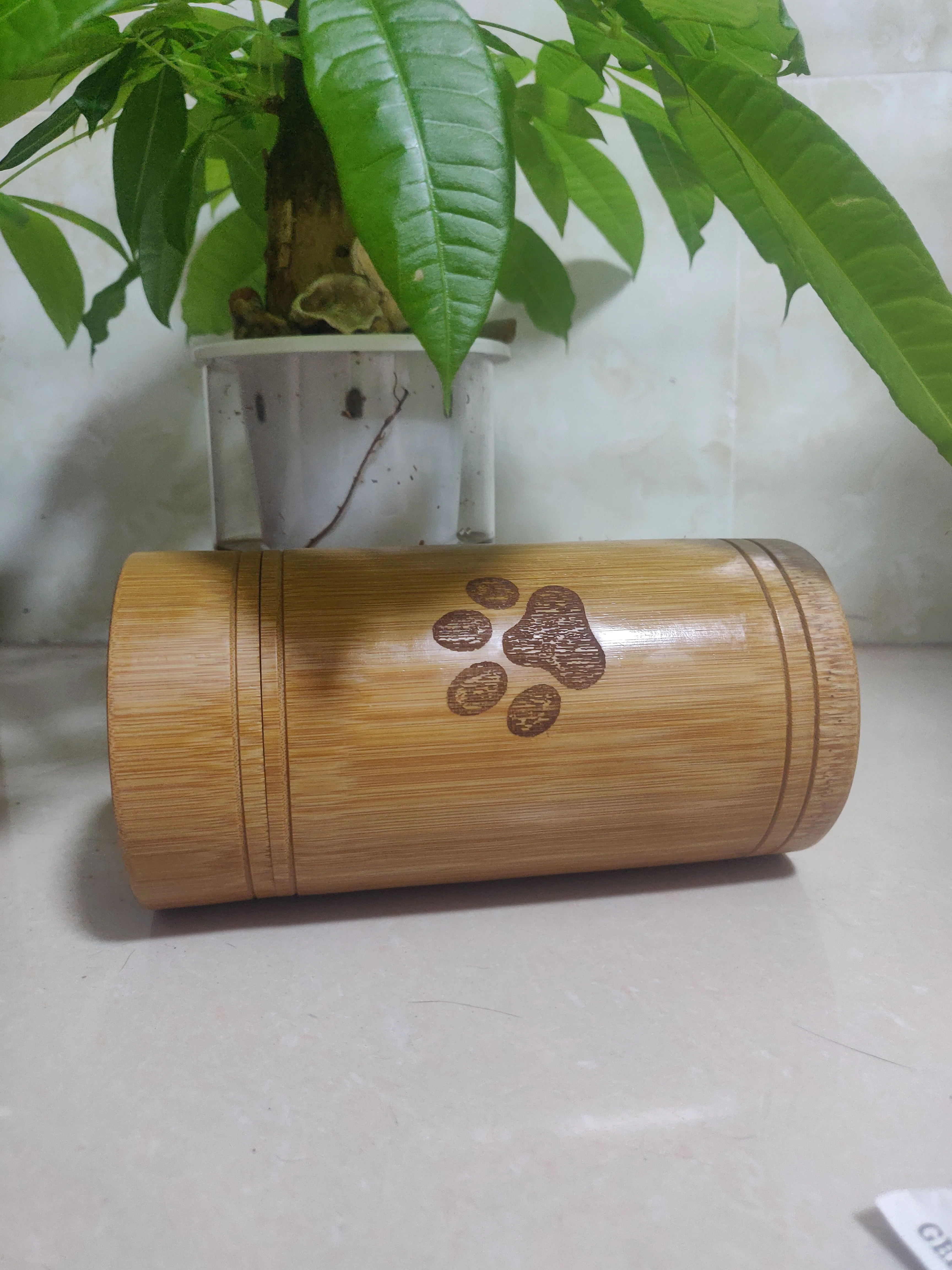 Urna de bambú para cenizas de gato y perro – Cremación mascotas - imagen 3
