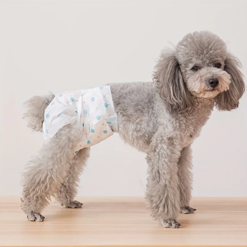 10 unids/pack pañales para perros femeninos pañales desechables para mascotas para gatos perro femenino pantalones menstruales absorbentes transpirables accesorio para perros - imagen 4