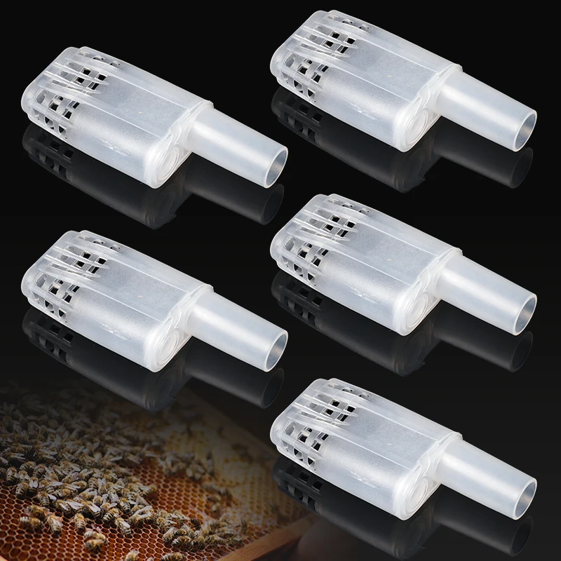 Jaulas de abeja reina, protección de apicultura, aislamiento de abeja reina, plástico blanco, movimiento, equipo de apicultura reina, herramienta de apicultura, 5/10 Uds. - imagen 2