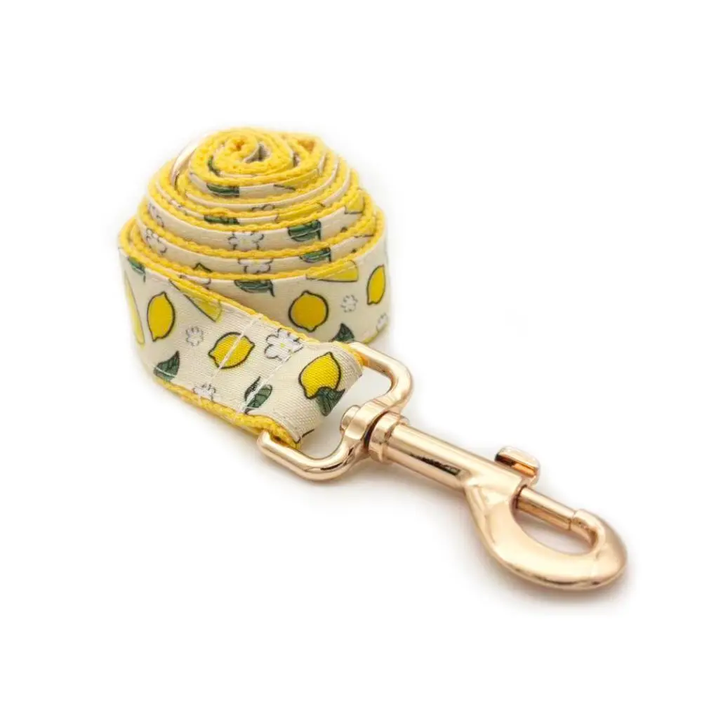 Collar personalizado del cachorro del perro del limón de la historieta de la hebilla del metal, correa a juego disponible - imagen 3