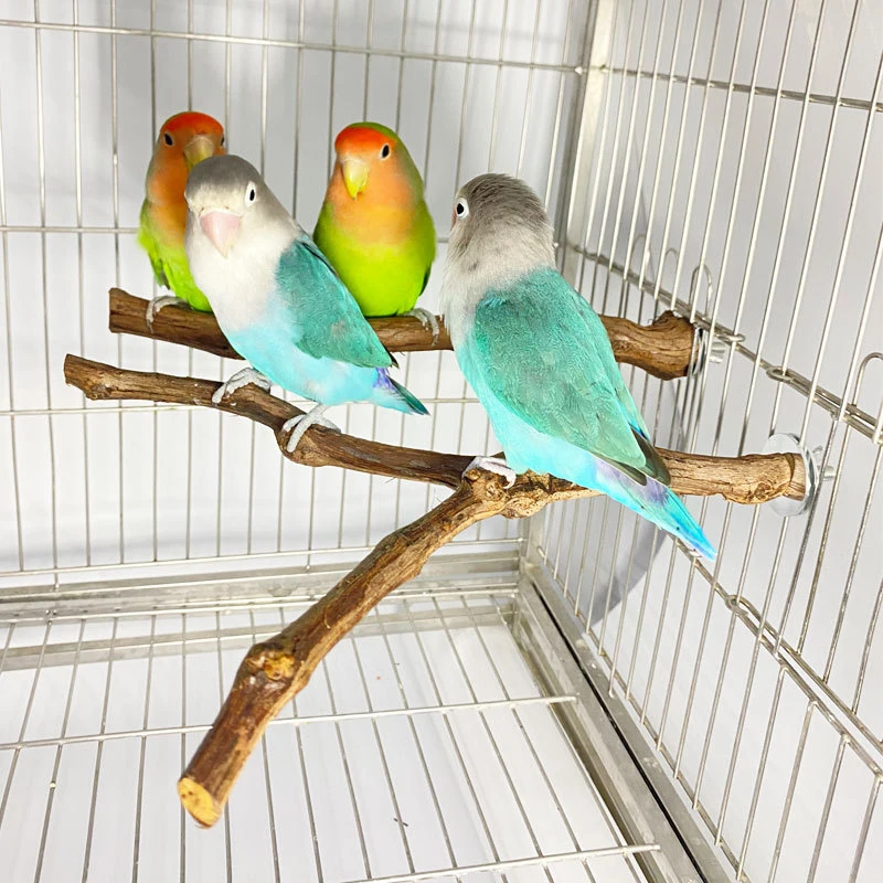 Palo de pie para loros y pájaros, palo de madera de uva, perchas para periquito, juguete para morder, accesorios para jaula de pájaros, 9134 - imagen 2