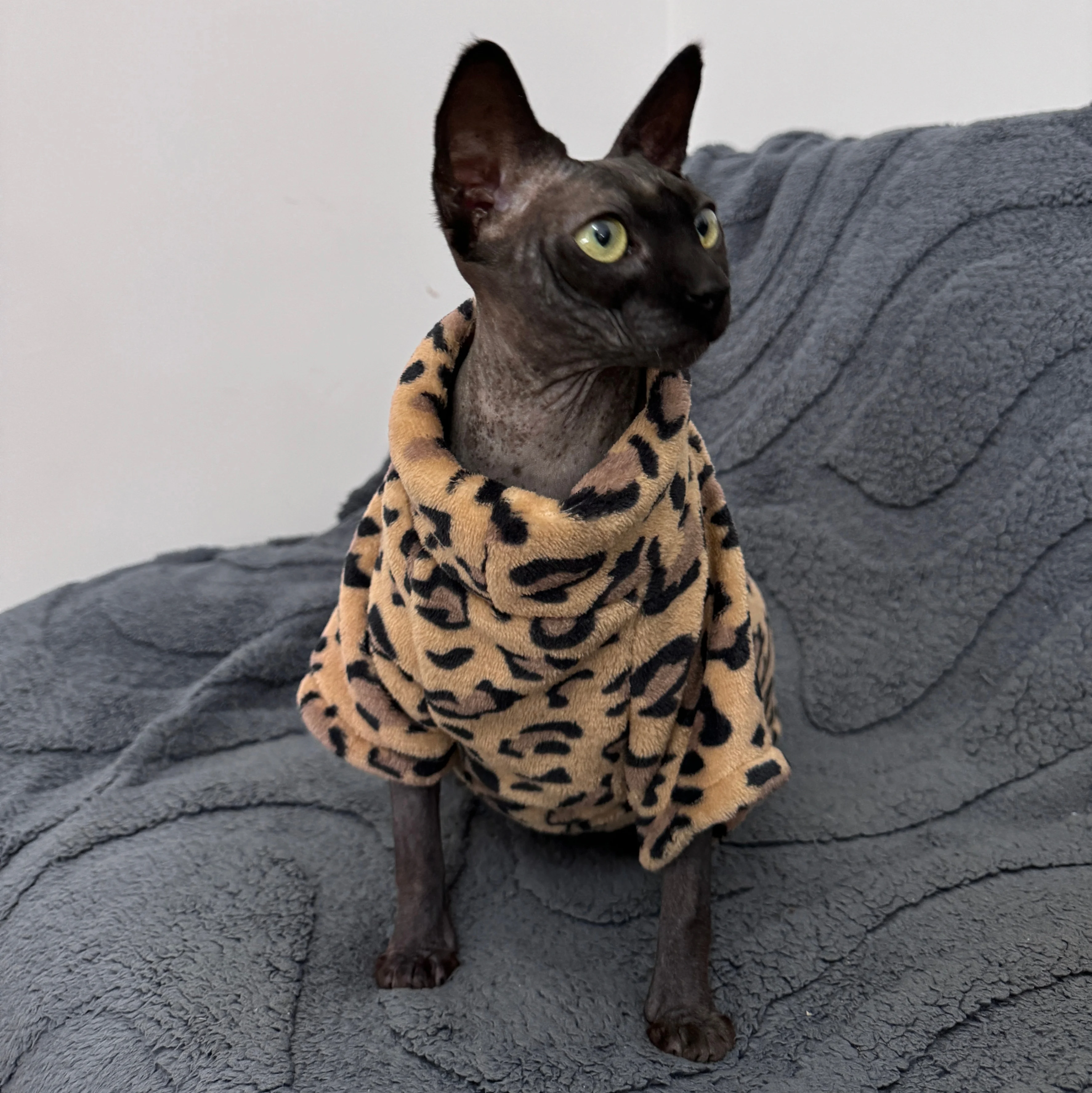 Ropa de gato moda invierno suave cálido para Sphynx ropa de gato comodidad gruesa sin pelo gato gatito trajes ropa - imagen 5