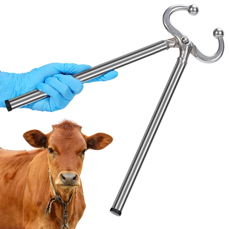 Alicates de acero inoxidable para nariz de ganado y toro, Clip para nariz de vaca, herramientas de perforación, pinzas para nariz de ganado, herramientas agrícolas
