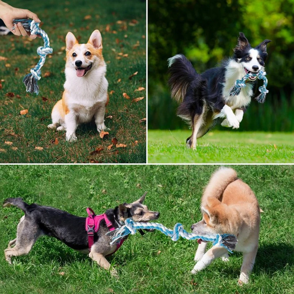 Juguete Molar de algodón resistente a las mordeduras para mascotas, nudo de cuerda para perros pequeños, cachorro, alivio de la congestión, limpieza de dientes, juguetes para masticar para mascotas - imagen 5