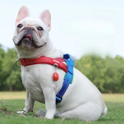 Arnés tipo sillín para perros con correa de pecho – Paseos cómodos