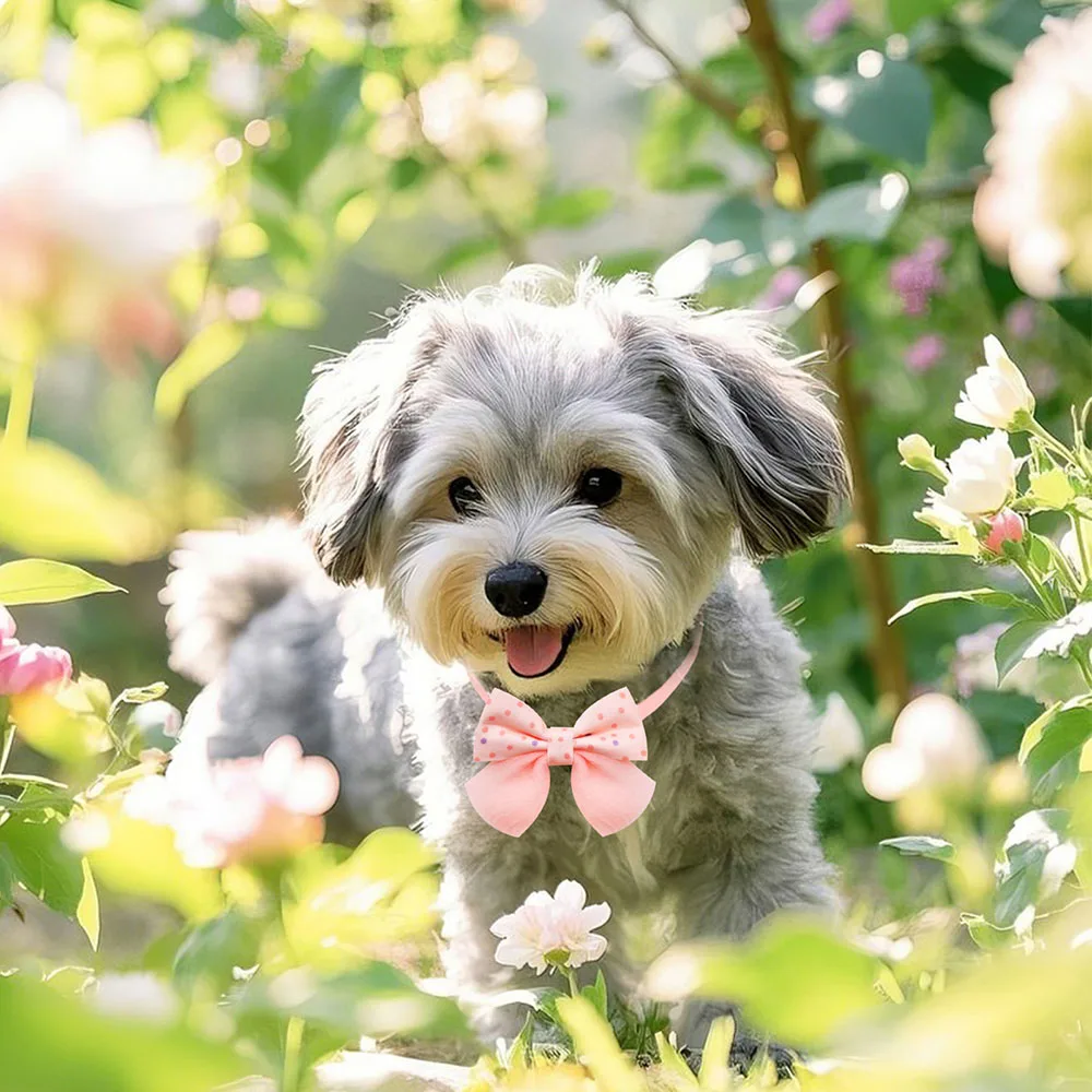 100 Uds pajaritas para perros a la moda lindo mascota perro aseo pajarita corbatas ajustables perro pequeño gato accesorios de aseo - imagen 3