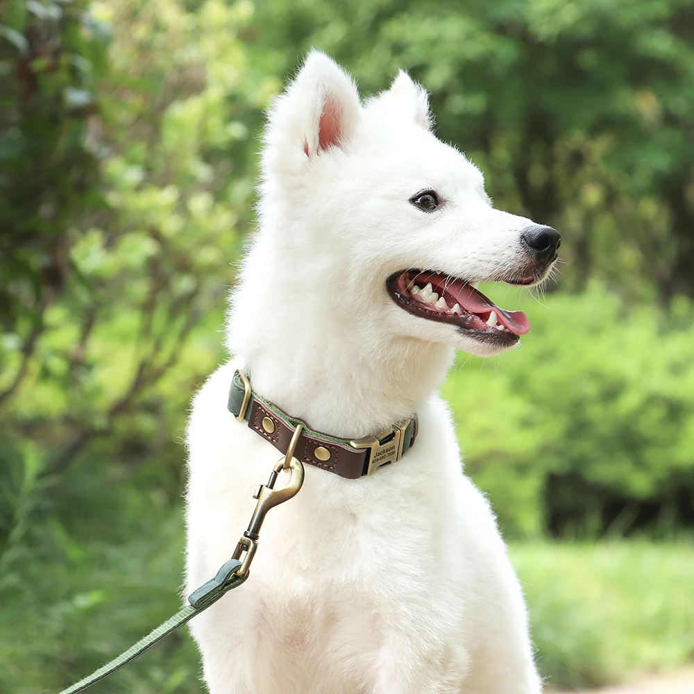 Correa de cuero PU para perros con mango suave y resistente - imagen 5