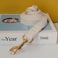 dog leash(Gold)